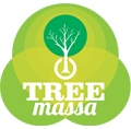 Projeto Tree Massa
